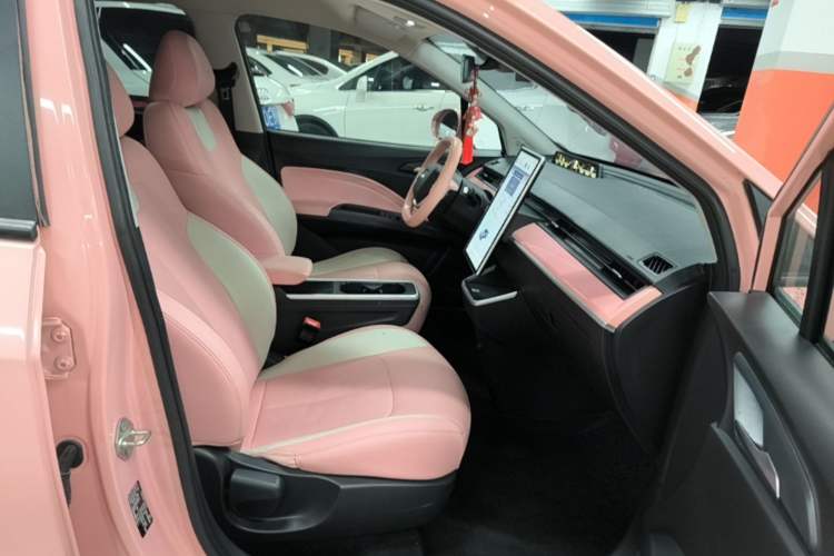 Used NETA V 2021 Witch Edition Right Front Seat