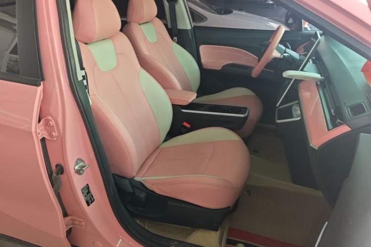 Used NETA V 2021 Witch Edition Right Front Seat