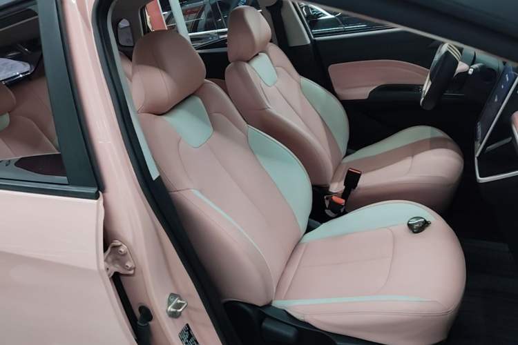 Used NETA V 2021 Witch Edition Right Front Seat