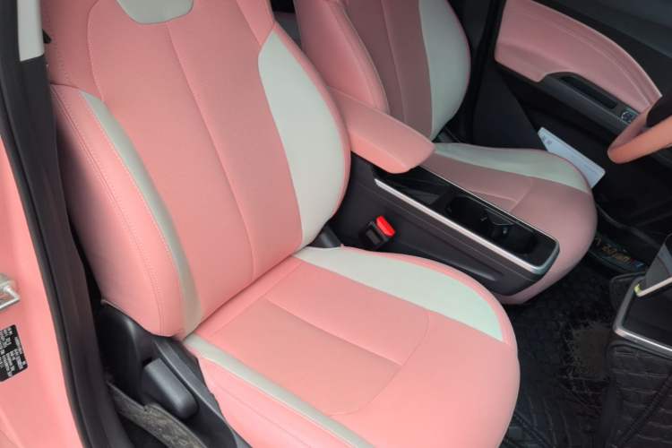 Used NETA V 2021 Witch Edition Right Front Seat