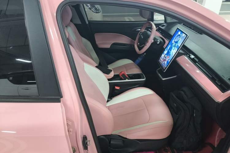 Used NETA V 2021 Witch Edition Right Front Seat