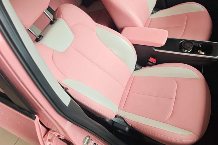 Used NETA V 2021 Witch Edition Right Front Seat