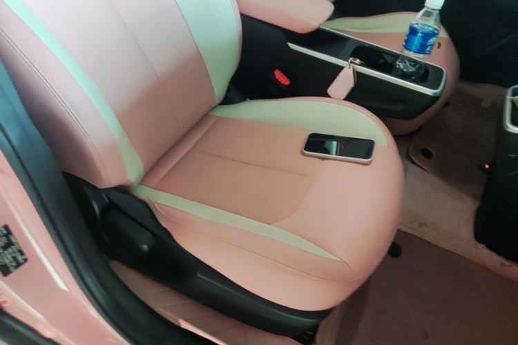 Used NETA V 2021 Witch Edition Right Front Seat