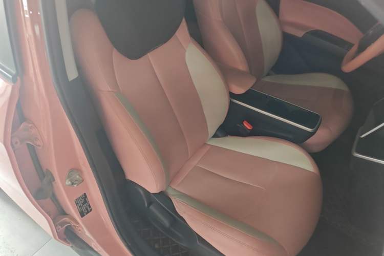 Used NETA V 2021 Witch Edition Right Front Seat
