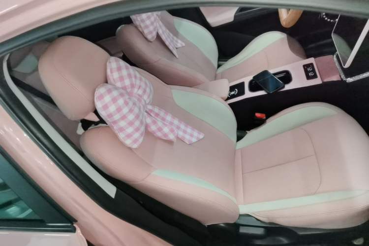 Used NETA V 2021 Witch Edition Right Front Seat
