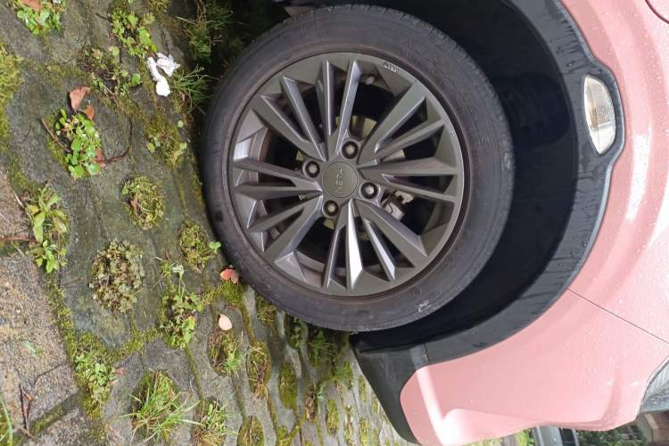 Used NETA V 2021 Witch Edition Right Front Wheel Hub