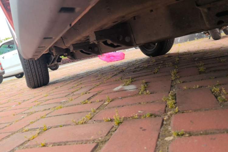 Used NETA V 2021 Witch Edition Right Side Sill