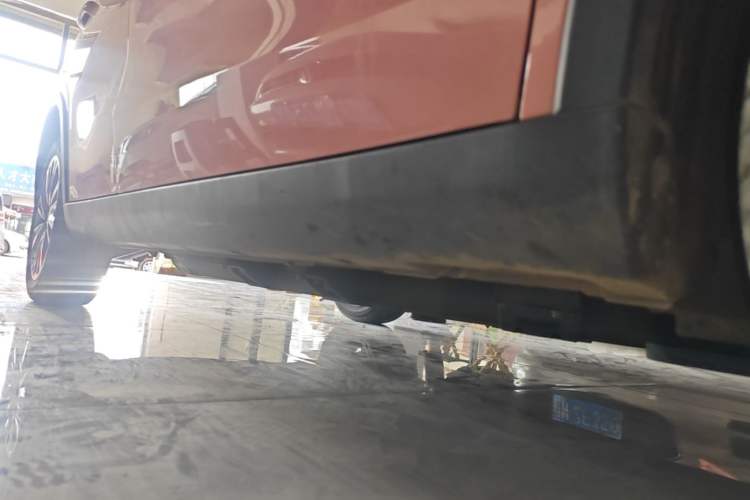 Used NETA V 2021 Witch Edition Right Side Sill