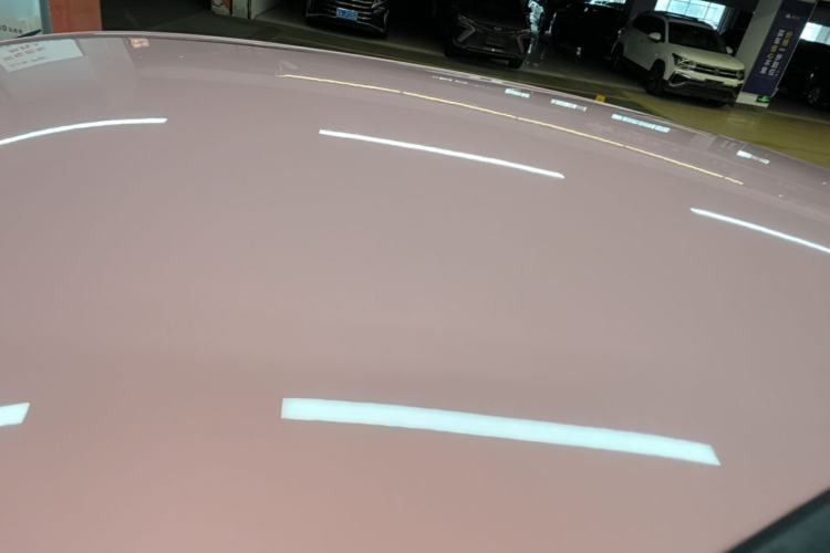 Used NETA V 2021 Witch Edition Roof