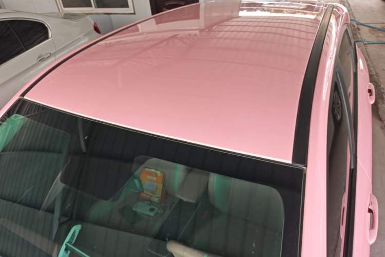 Used NETA V 2021 Witch Edition Roof