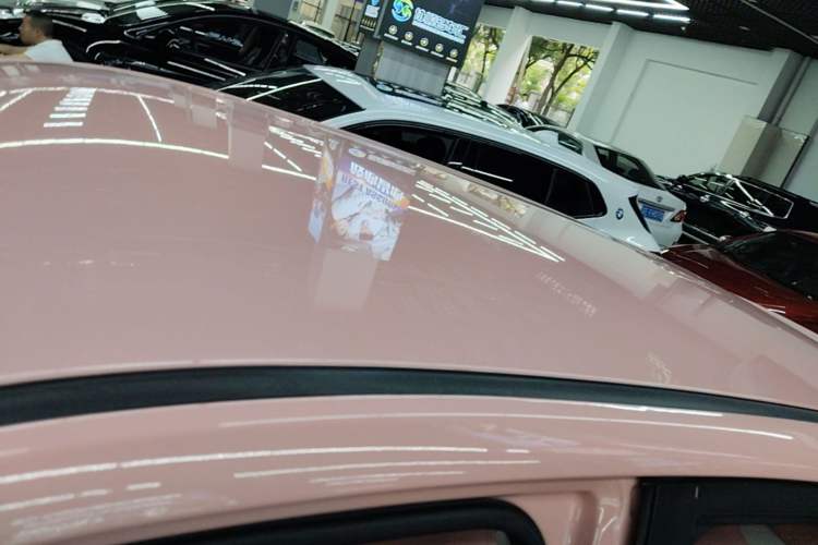 Used NETA V 2021 Witch Edition Roof