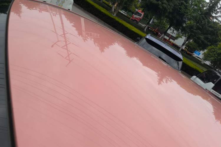 Used NETA V 2021 Witch Edition Roof