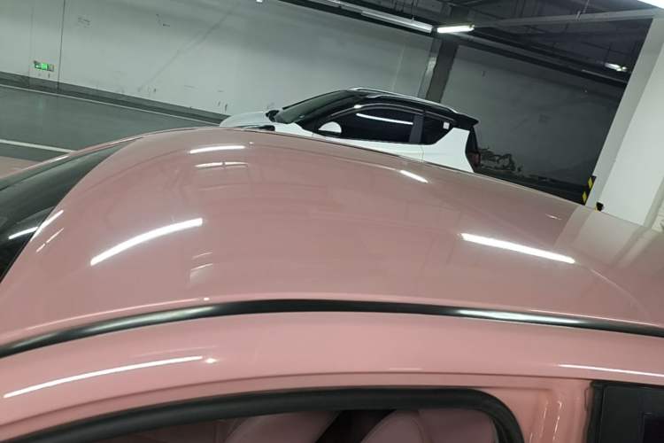Used NETA V 2021 Witch Edition Roof