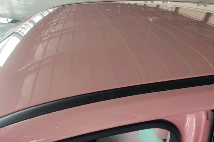 Used NETA V 2021 Witch Edition Roof
