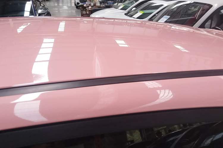Used NETA V 2021 Long-Range Entertainment Edition Upgrade Model Roof