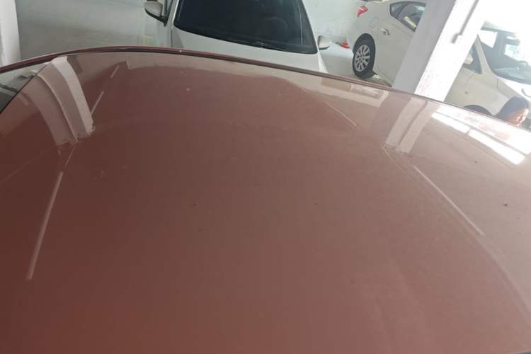 Used NETA V 2021 Witch Edition Roof
