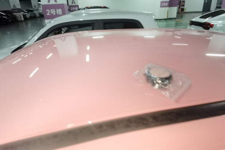 Used NETA V 2021 Witch Edition Roof