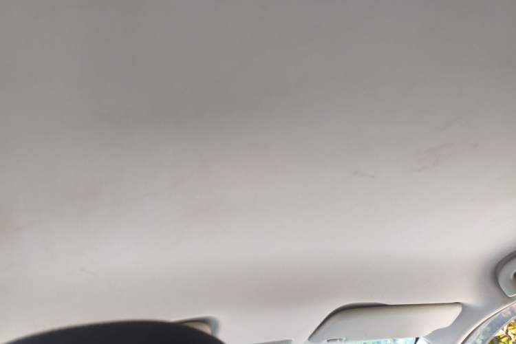 Used NETA V 2021 Long-Range Entertainment Edition Upgrade Model Headliner