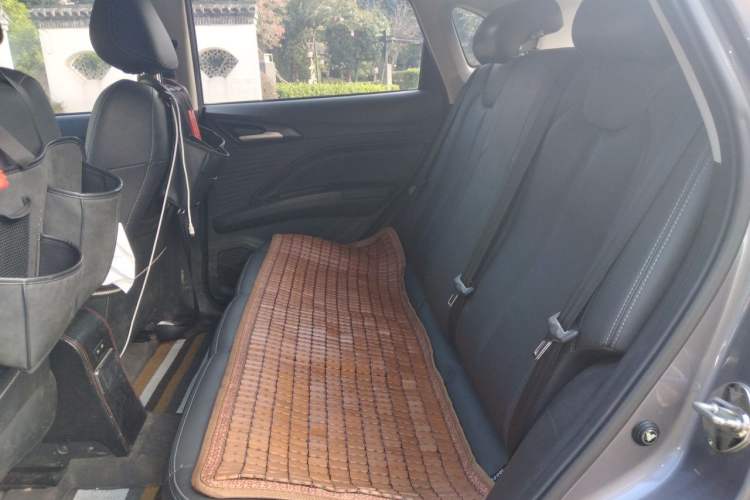 Used NETA V 2021 Long-Range Entertainment Edition Left Rear Seat