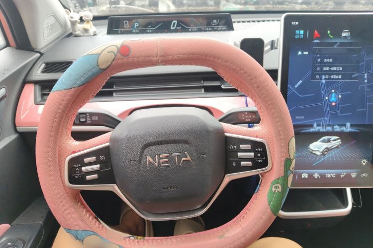 Used NETA V 2021 Witch Edition Steering Wheel