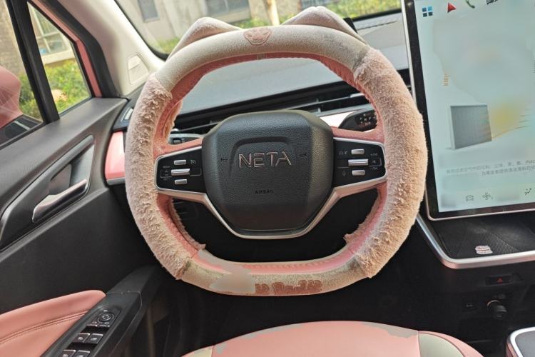 Used NETA V 2021 Witch Edition Steering Wheel