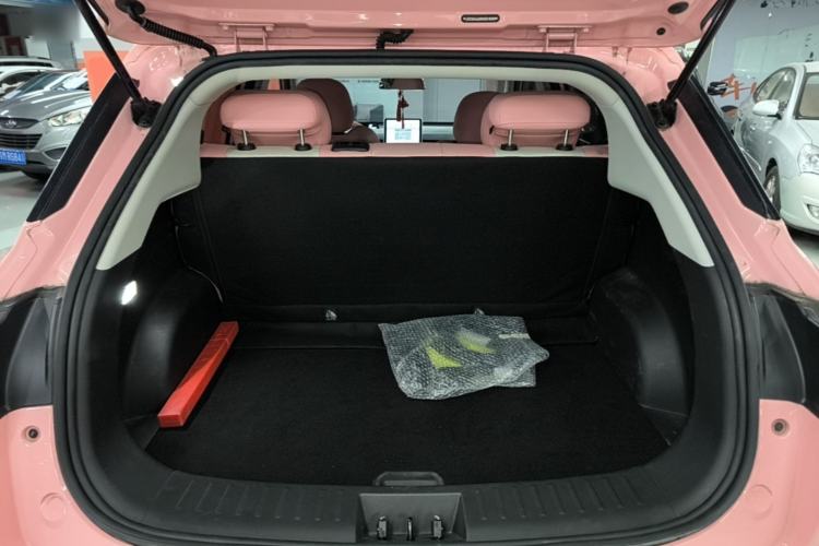 Used NETA V 2021 Witch Edition Trunk