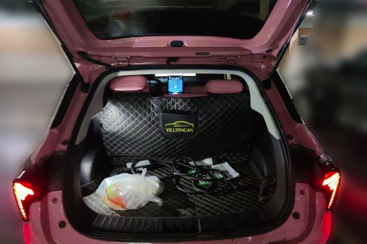Used NETA V 2021 Witch Edition Trunk