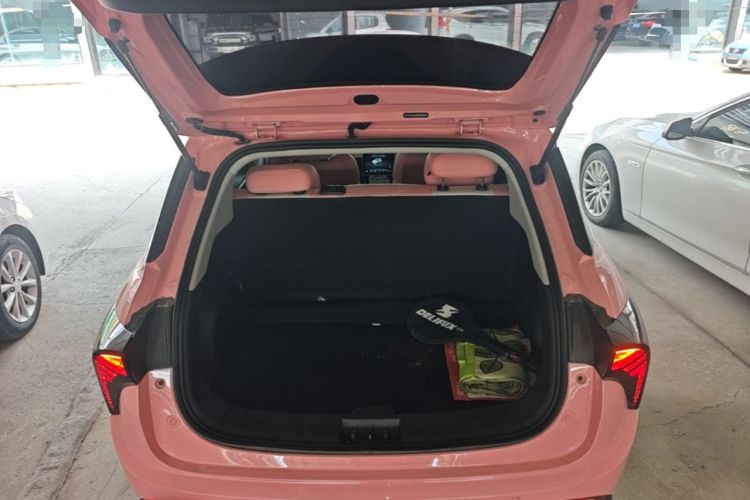 Used NETA V 2021 Witch Edition Trunk