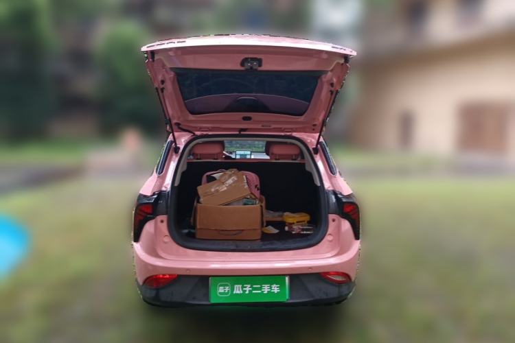 Used NETA V 2021 Witch Edition Trunk