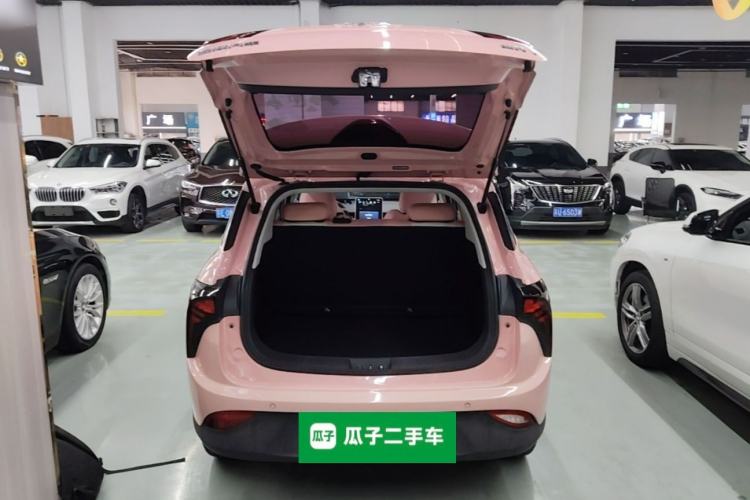 Used NETA V 2021 Witch Edition Trunk