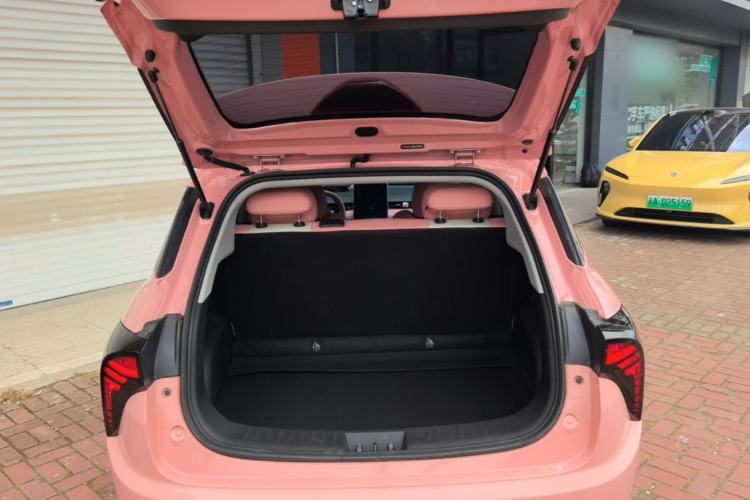 Used NETA V 2021 Witch Edition Trunk