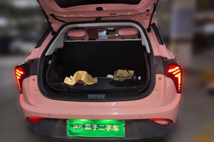 Used NETA V 2021 Witch Edition Trunk