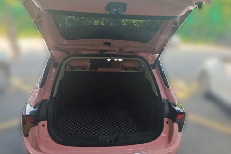 Used NETA V 2021 Witch Edition Trunk