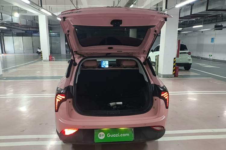 Used NETA V 2021 Witch Edition Trunk