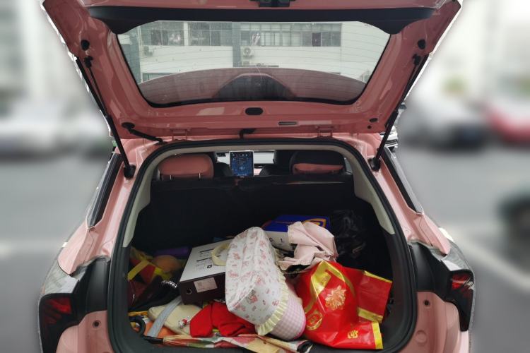 Used NETA V 2021 Witch Edition Trunk
