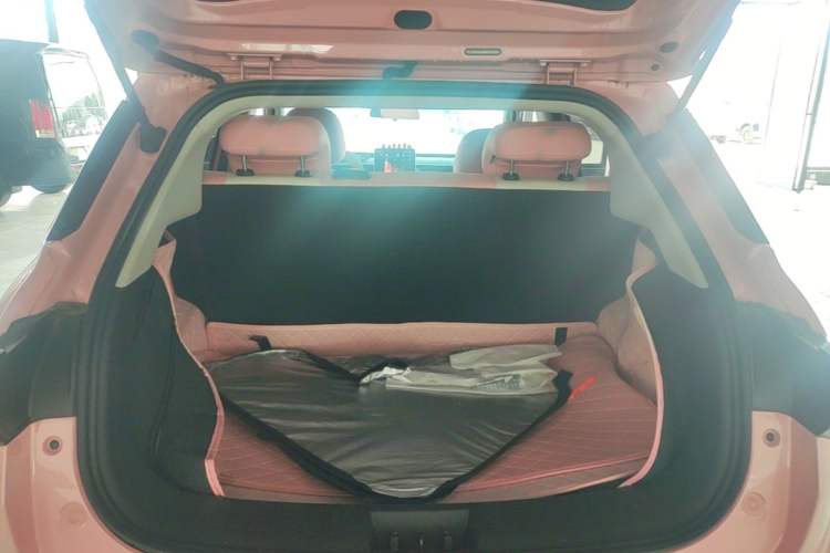 Used NETA V 2021 Witch Edition Trunk