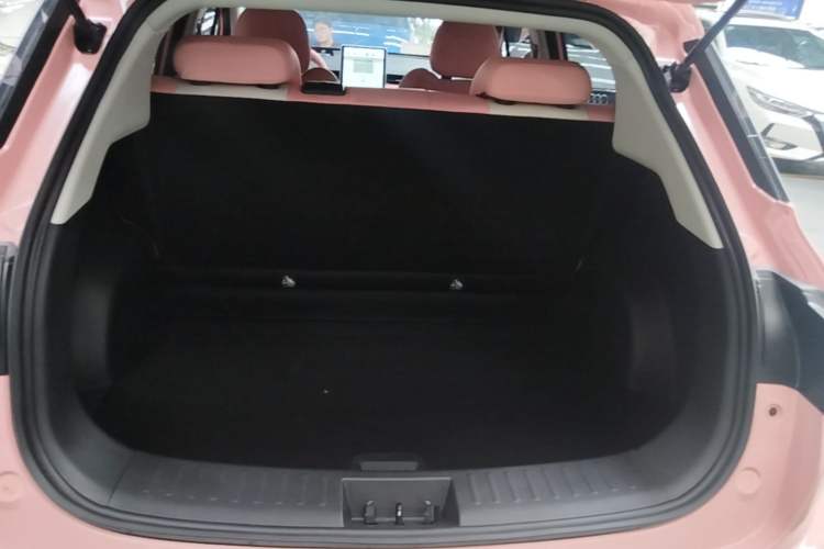 Used NETA V 2021 Long-Range Entertainment Edition Upgrade Model Trunk
