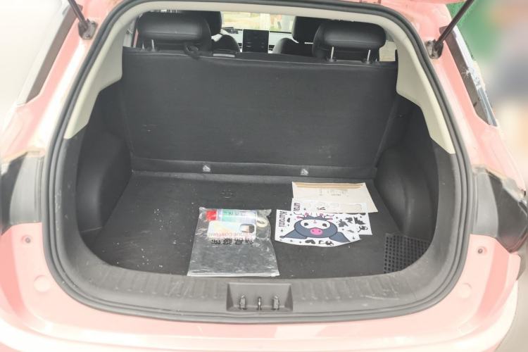 Used NETA V 2021 Long-Range Entertainment Edition Upgrade Model Trunk