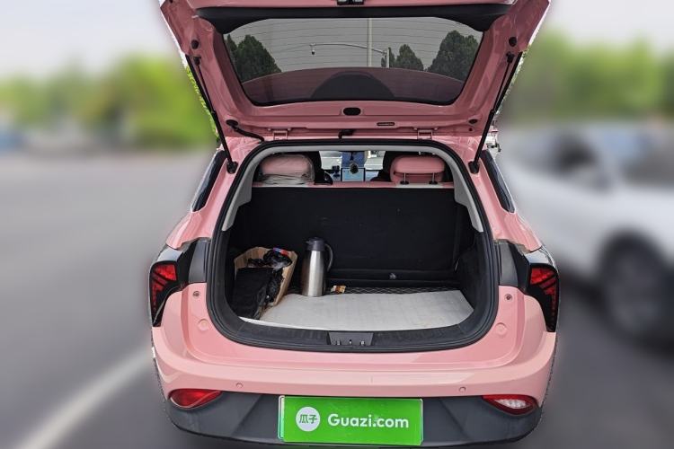 Used NETA V 2021 Witch Edition Trunk