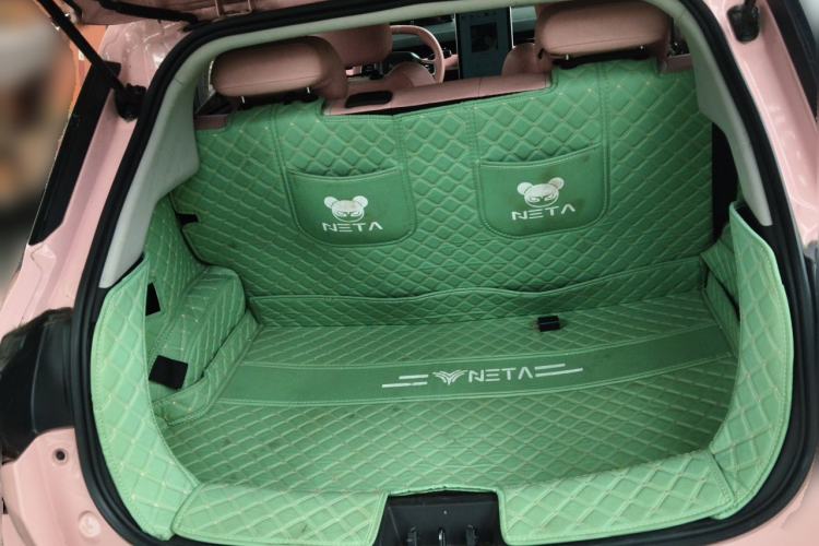 Used NETA V 2021 Witch Edition Trunk