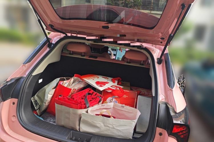 Used NETA V 2021 Witch Edition Trunk