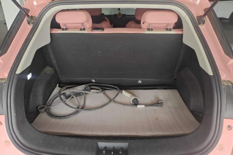 Used NETA V 2021 Witch Edition Trunk