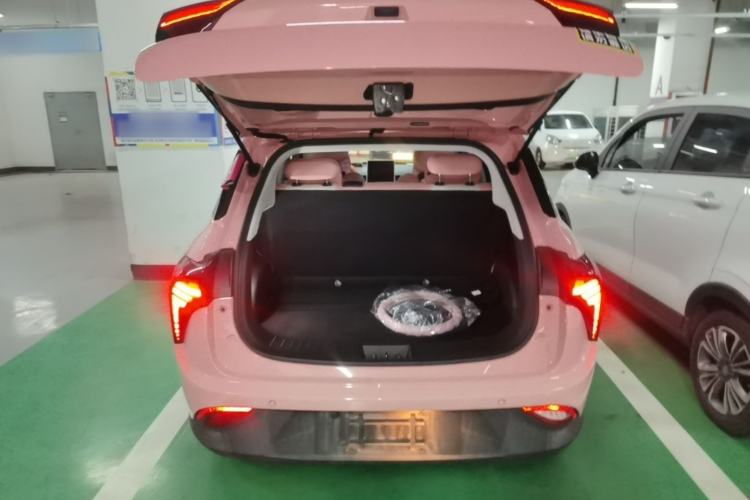 Used NETA V 2021 Witch Edition Trunk