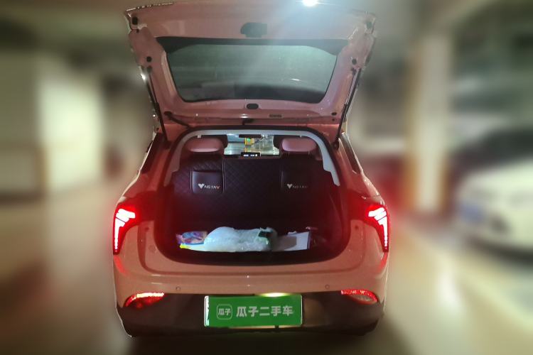 Used NETA V 2021 Witch Edition Trunk