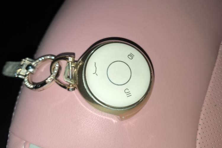 Used NETA V 2021 Witch Edition Vehicle Key