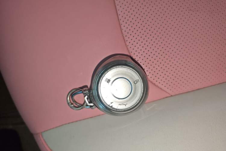Used NETA V 2021 Witch Edition Vehicle Key