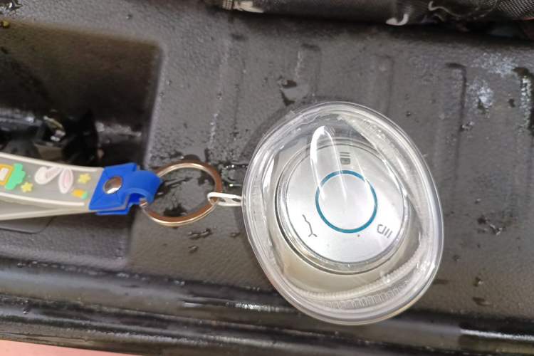 Used NETA V 2021 Witch Edition Vehicle Key