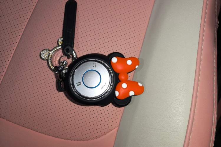 Used NETA V 2021 Witch Edition Vehicle Key