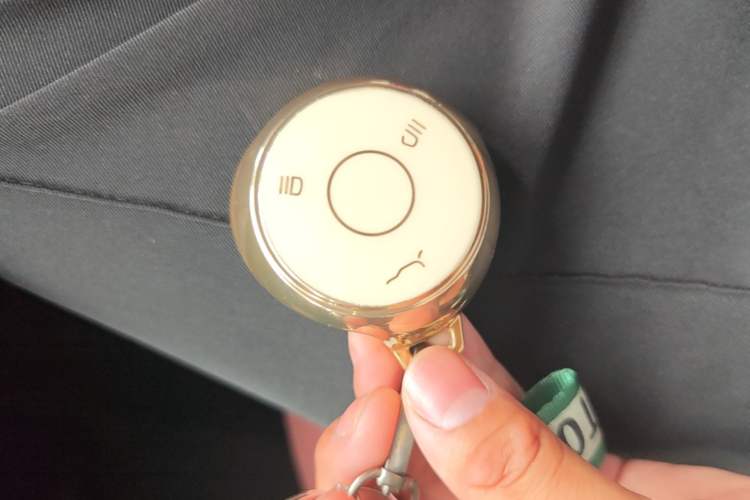 Used NETA V 2021 Witch Edition Vehicle Key