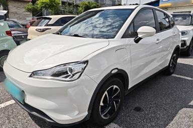 Used NETA V 2021 Long-Range Entertainment Edition Upgrade Model